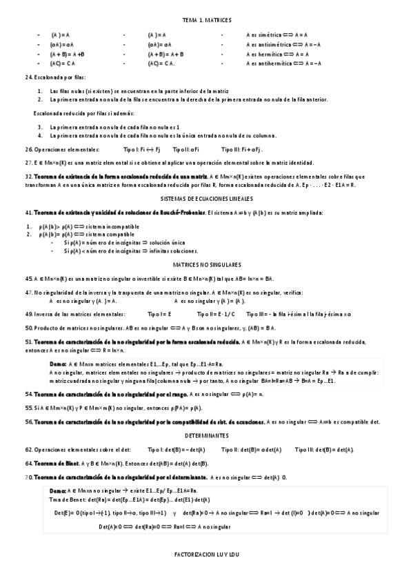 Miniatura del documento Teoria+Demostraciones-1P.pdf