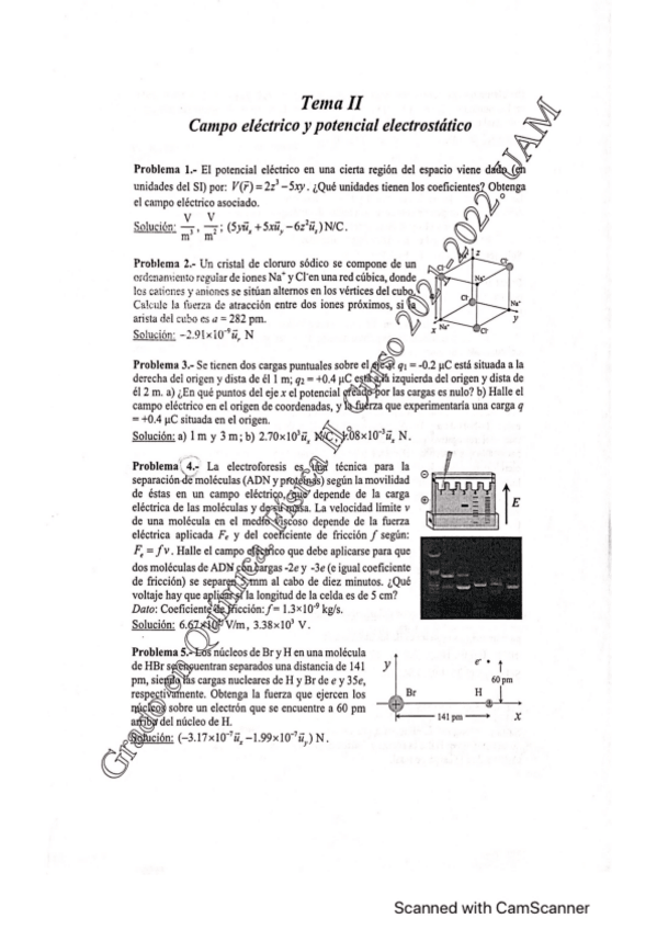 Miniatura del documento Seminario-2-Fisica-II.pdf