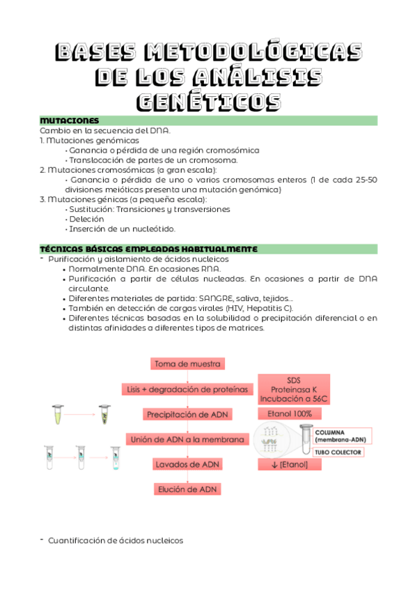 Miniatura del documento TEMA-8.pdf