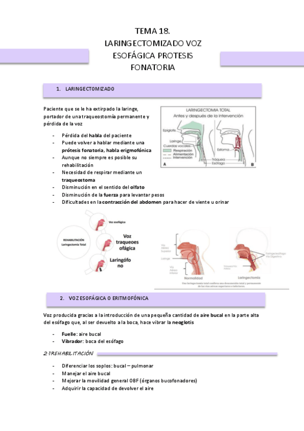 Miniatura del documento TEMA-18-PATHVA.pdf