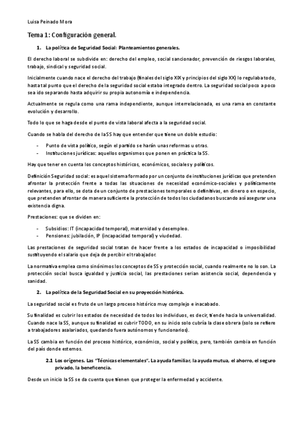 Miniatura del documento seguridad-social-tema-1-y-2.pdf