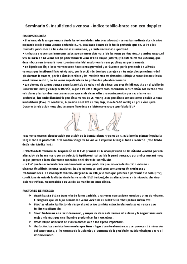 Miniatura del documento Seminario-9.-Insuficiencia-venosa-Indice-tobillo-brazo-con-eco-doppler.pdf