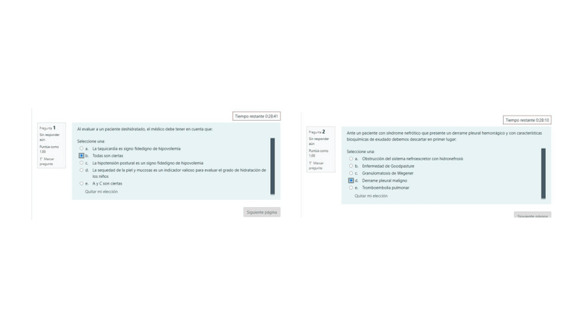 Miniatura del documento TEST-RENAL-GLOBAL 2022 2023.pdf