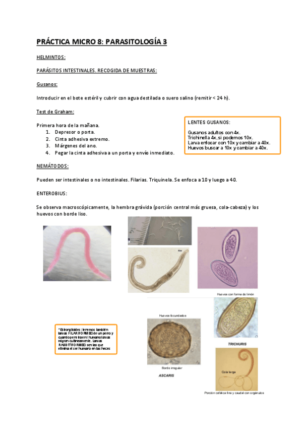 Miniatura del documento Practica-Micro-8.pdf
