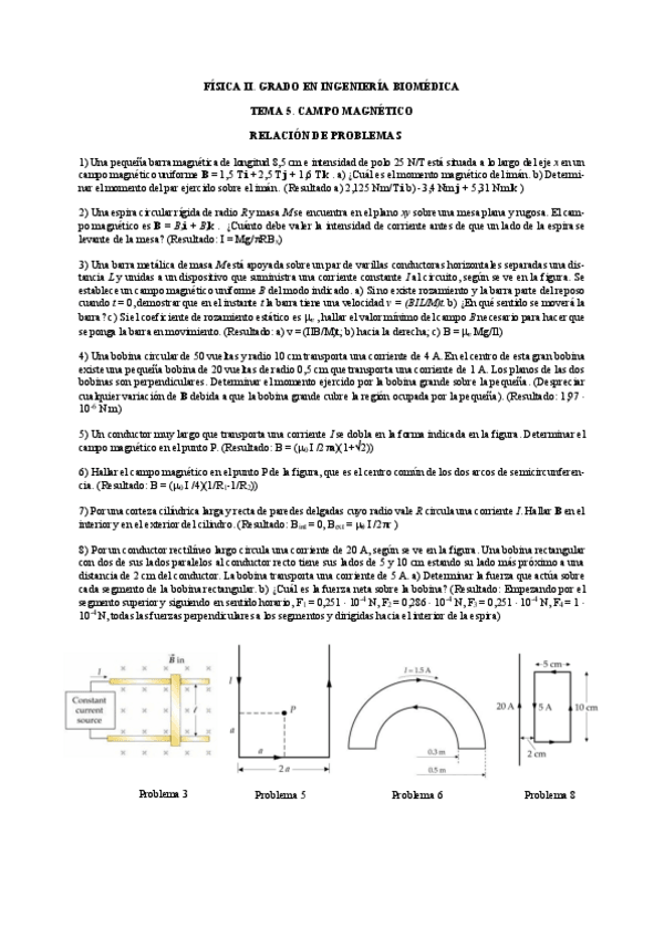 Miniatura del documento Ejercicios-resueltos-tema-5-Campo-Magnetico.pdf