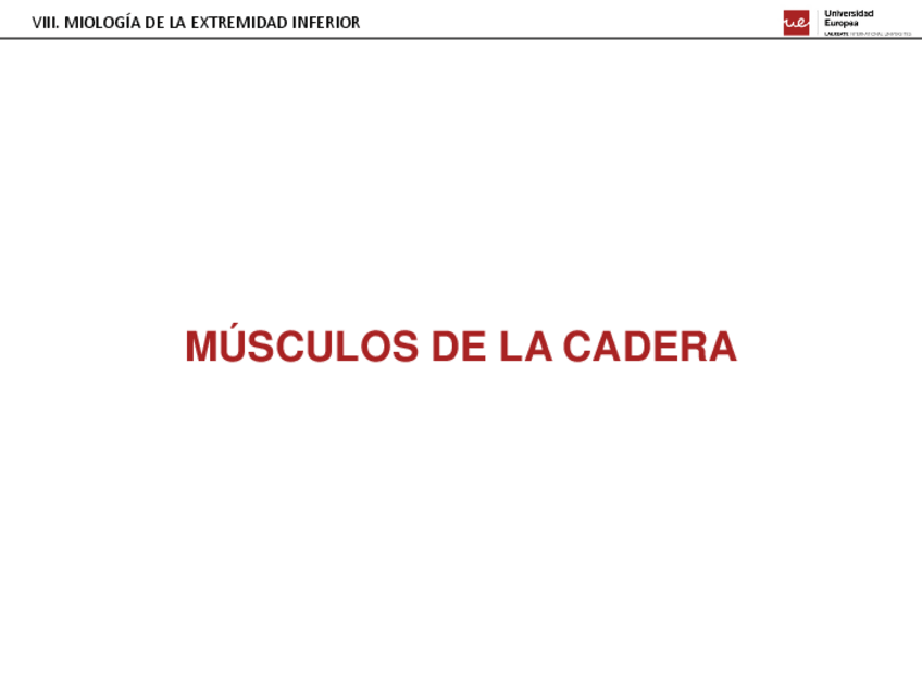 Miniatura del documento 08.-MIOLOGIA-DE-LA-EXTREMIDAD-INFERIOR.pdf