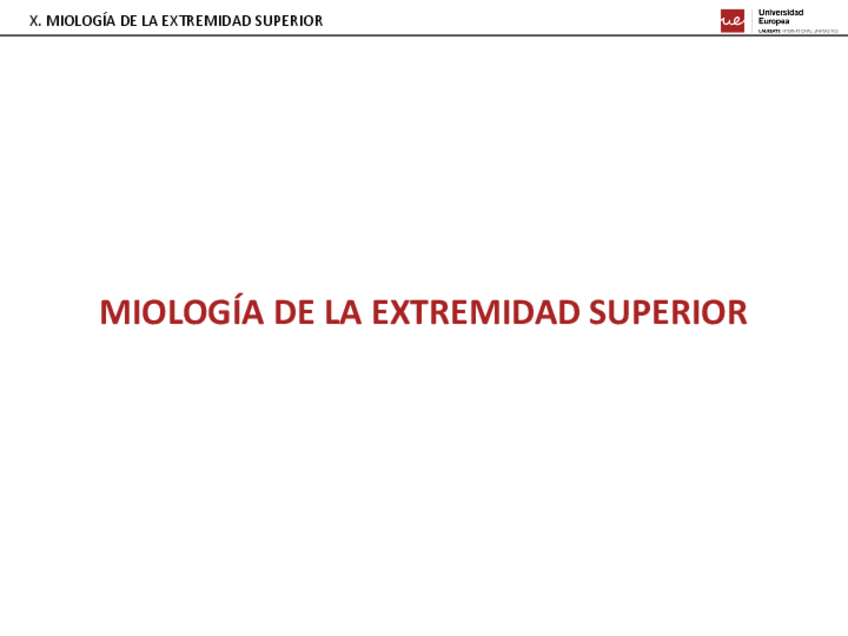 Miniatura del documento 10.-MIOLOGIA-DE-LA-EXTREMIDAD-SUPERIOR.pdf