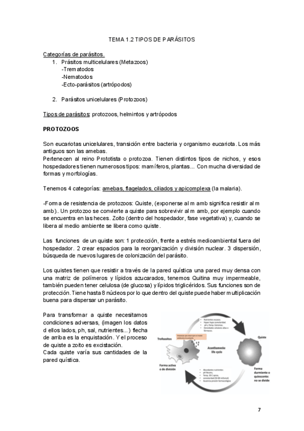 Miniatura del documento Tema-1.-2-Parasitologia.pdf