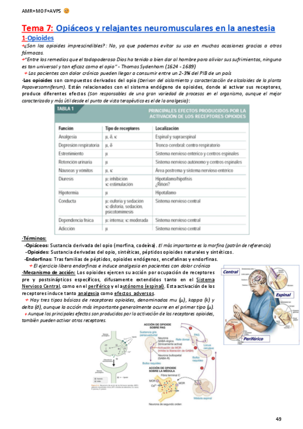 Miniatura del documento 7.-Uso-clinico-de-opiaceos-y-relajantes-neuromusculares-en-anestesia.pdf