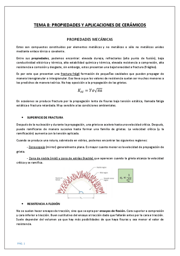 Miniatura del documento Resumenes-TEMA-8-y-TEMA-9.pdf