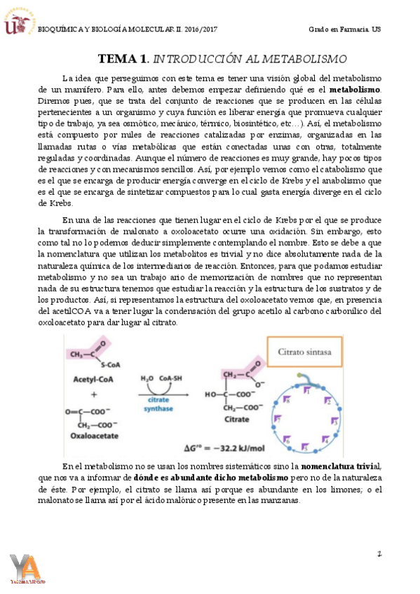 Miniatura del documento TEMA 1. INTRODUCCIÓN.pdf