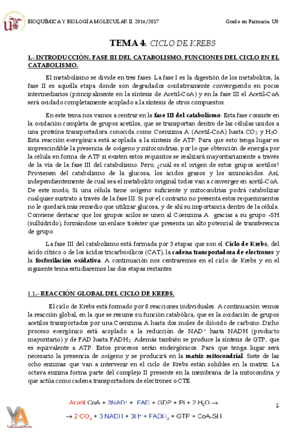 Miniatura del documento TEMA 4. CICLO DE KREBS.pdf