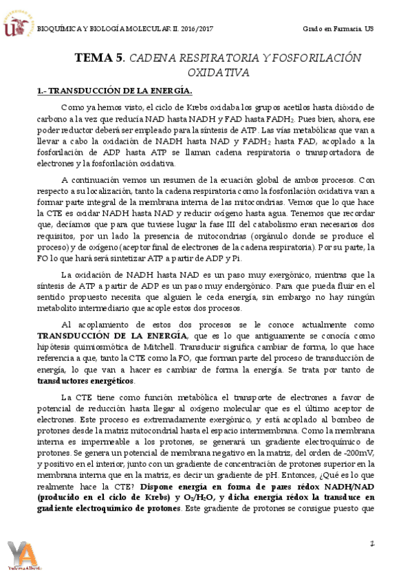 Miniatura del documento TEMA 5. CADENA RESPIRATORIA Y FOSFORILACIÓN OXIDATIVA.pdf