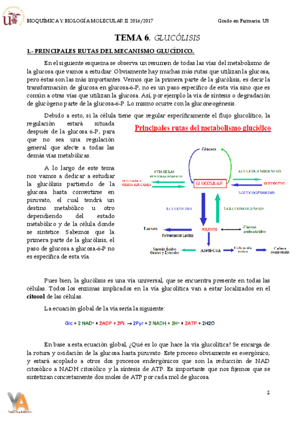 Miniatura del documento TEMA 6. VÍA GLUCOLÍTICA. glucólisis.pdf
