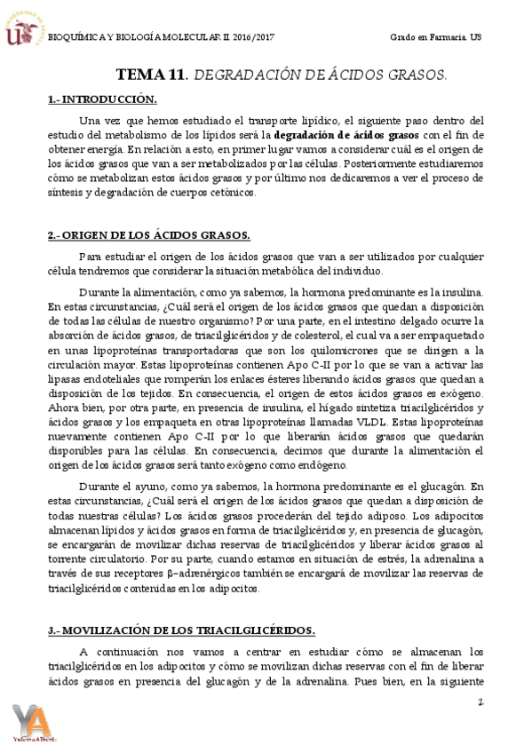 Miniatura del documento TEMA 11 DEGRADACIÓN DE ÁCIDOS GRASOS.pdf