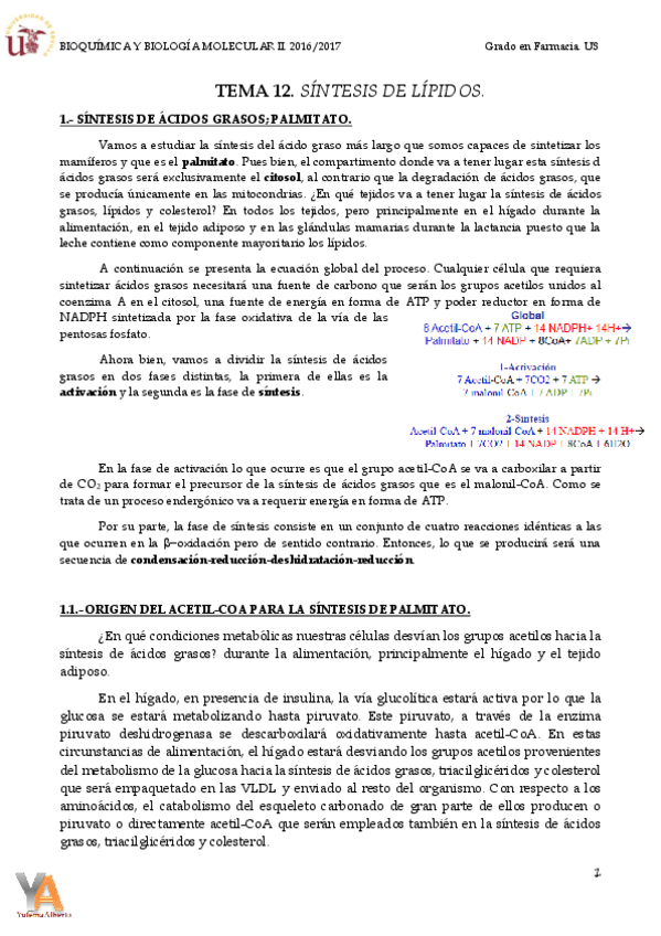 Miniatura del documento TEMA 12. SÍNTESIS DE ÁCIDOS GRASOS.pdf