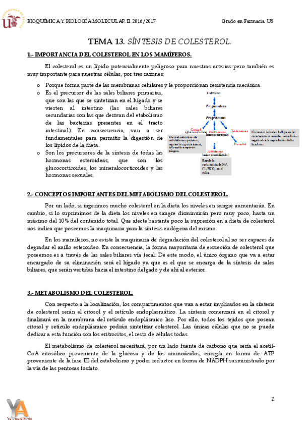 Miniatura del documento TEMA 13 SÍNTESIS DE COLESTEROL.pdf