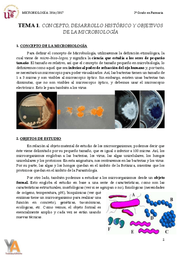 Miniatura del documento TEMA 1 CONCEPTO DE MICROBIOLOGÍA.pdf