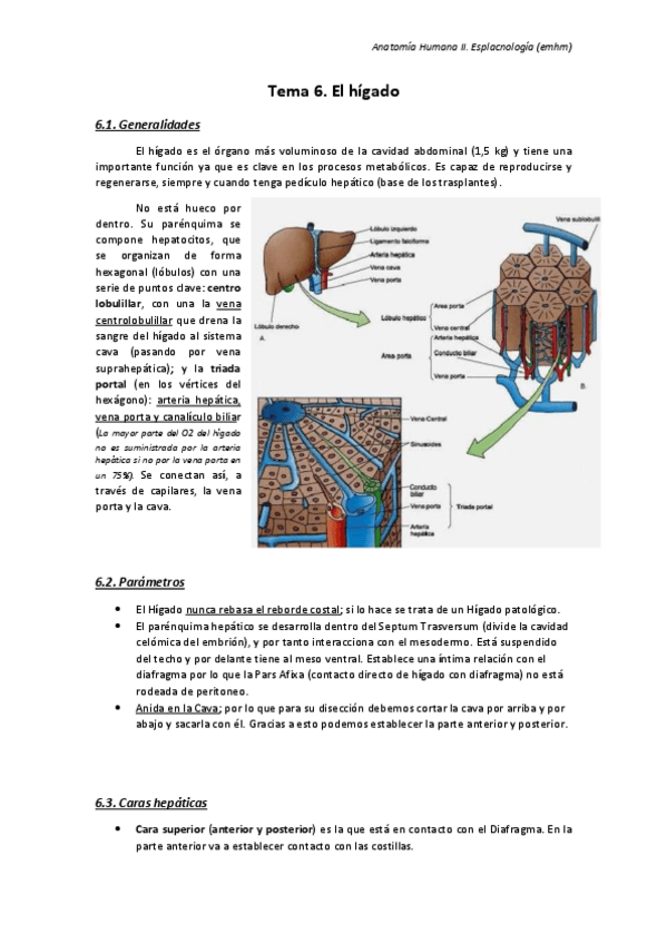 Miniatura del documento T6. El hígado.pdf