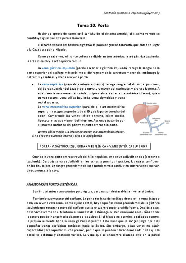 Miniatura del documento T10. Porta.pdf