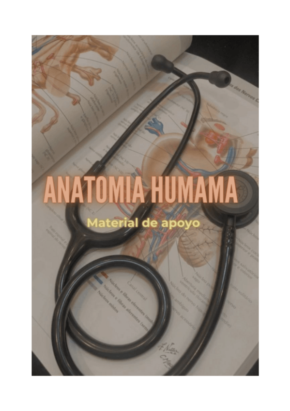 Miniatura del documento fotos.pdf