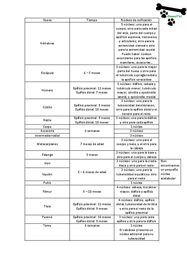 Miniatura del documento Hueso.pdf