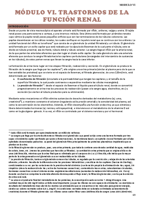 Miniatura del documento MÓDULO VI. Renal 2023.pdf