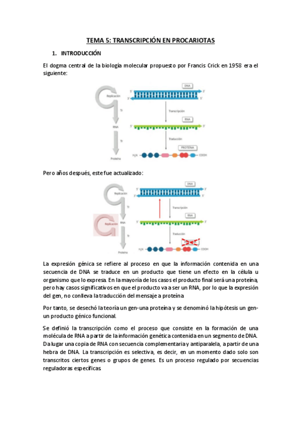 Miniatura del documento TEMA-4.pdf