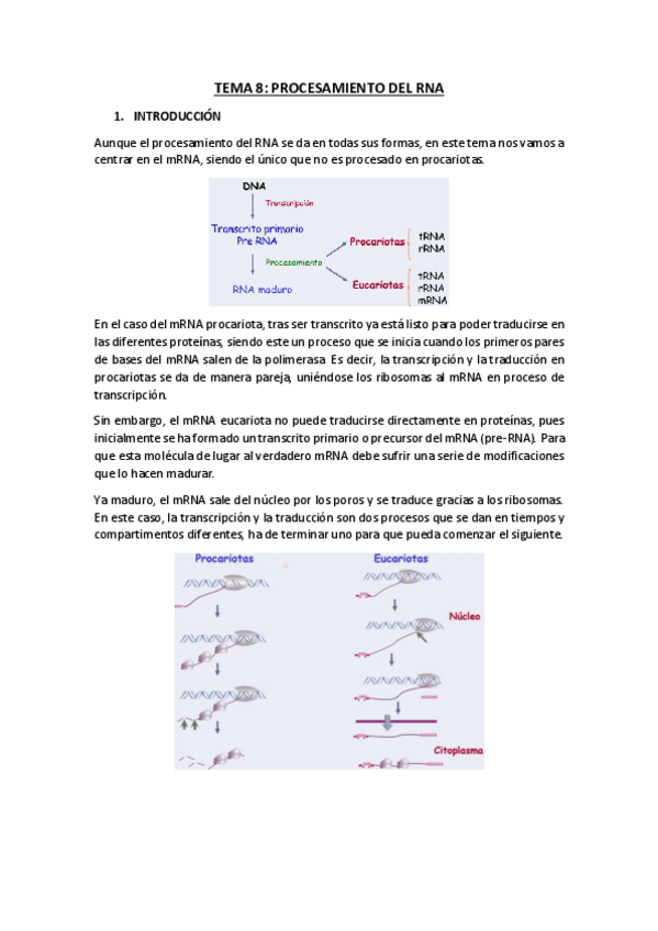 Miniatura del documento TEMA-8.pdf