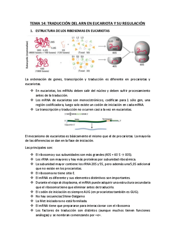 Miniatura del documento TEMA-14.pdf