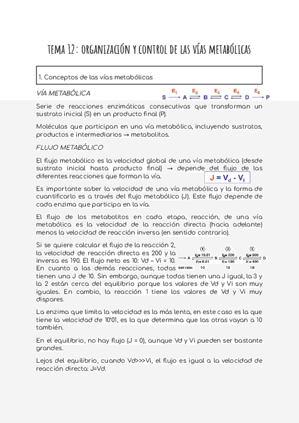 Miniatura del documento Tema-12-organizacion-y-control-de-las-vias-metabolicas.pdf