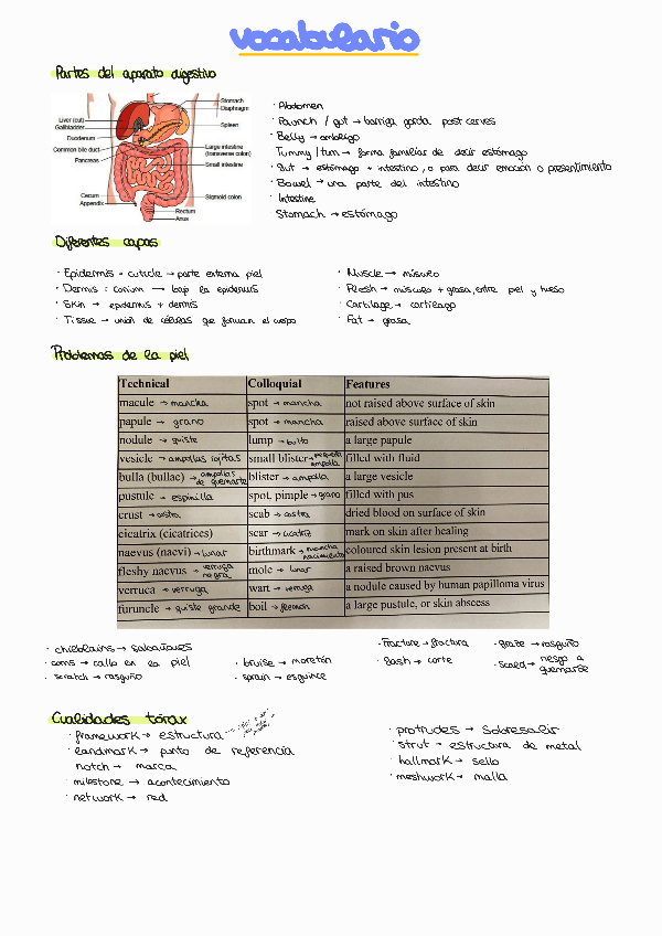 Miniatura del documento Ingles parcial 1.pdf