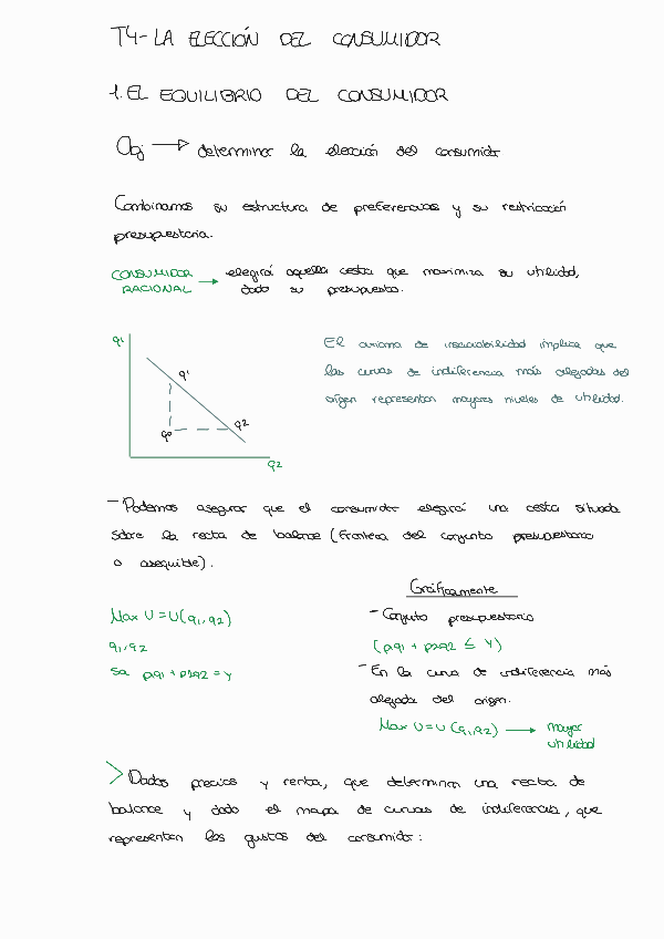 Miniatura del documento T4-LA-ELECCION-DEL-CONSUMIDOR.pdf