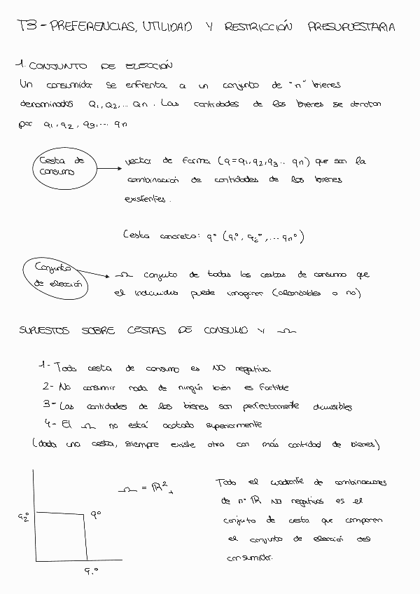Miniatura del documento T3230426122033-1.pdf