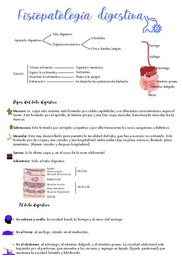 Miniatura del documento Fisiopatologia-digestiva.pdf