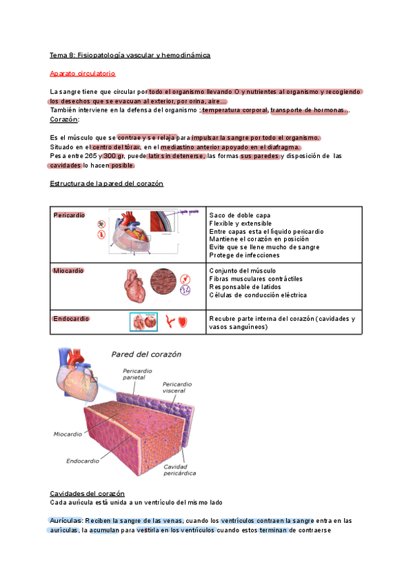 Miniatura del documento T8-Fisiopatologia-vascular-y-hemodinamica.pdf