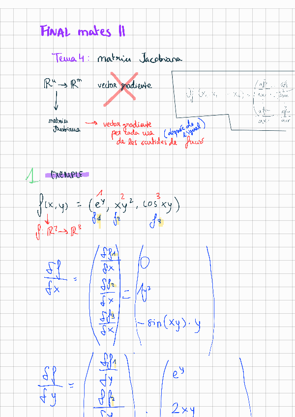 Miniatura del documento Tema-4-Matriu-Jacobiana.pdf