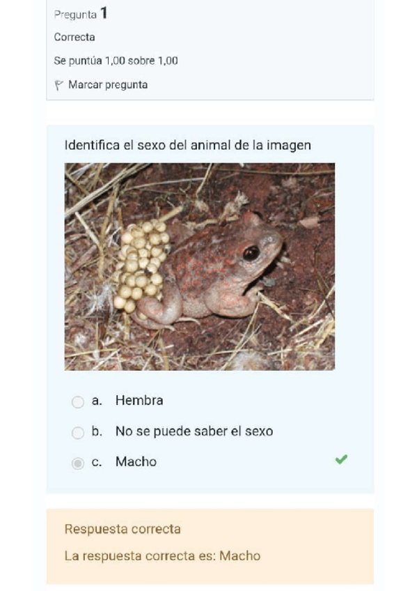 Miniatura del documento test-practica-anfibios.pdf