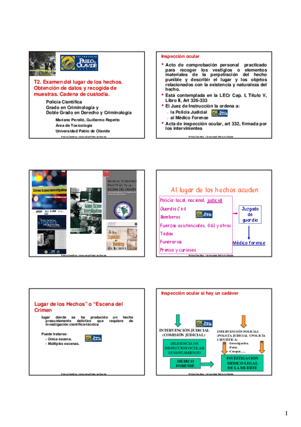 Miniatura del documento T02 Examen del lugar de los hechos.pdf