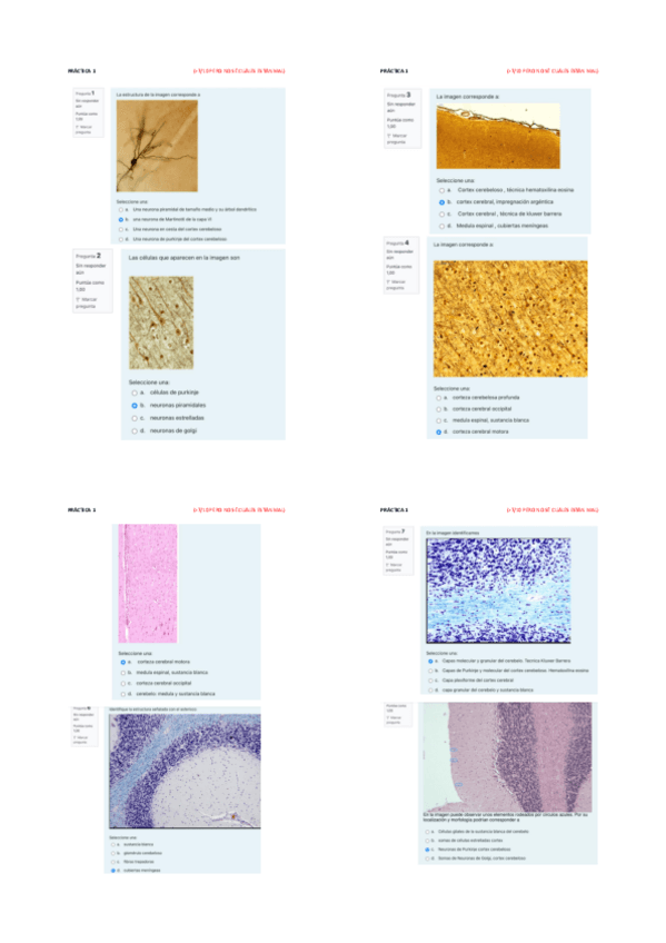 Miniatura del documento Todos-los-cuestionarios.pdf