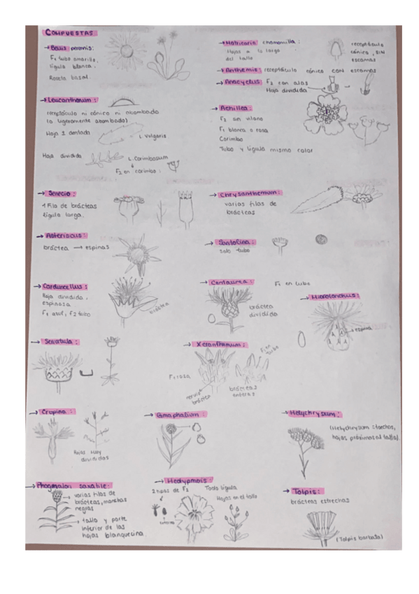 Miniatura del documento Familias-II.pdf