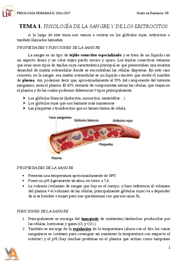 Miniatura del documento TEMA 1. FISIOLOGÍA DE LA SANGRE Y DE LOS ERITROCITOS.pdf