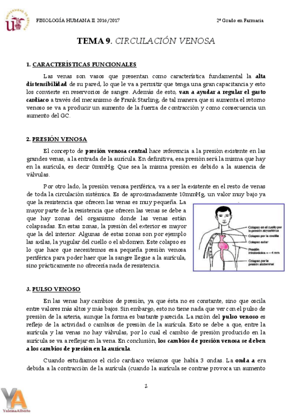 Miniatura del documento TEMA 9 CIRCULACIÓN VENOSA.pdf