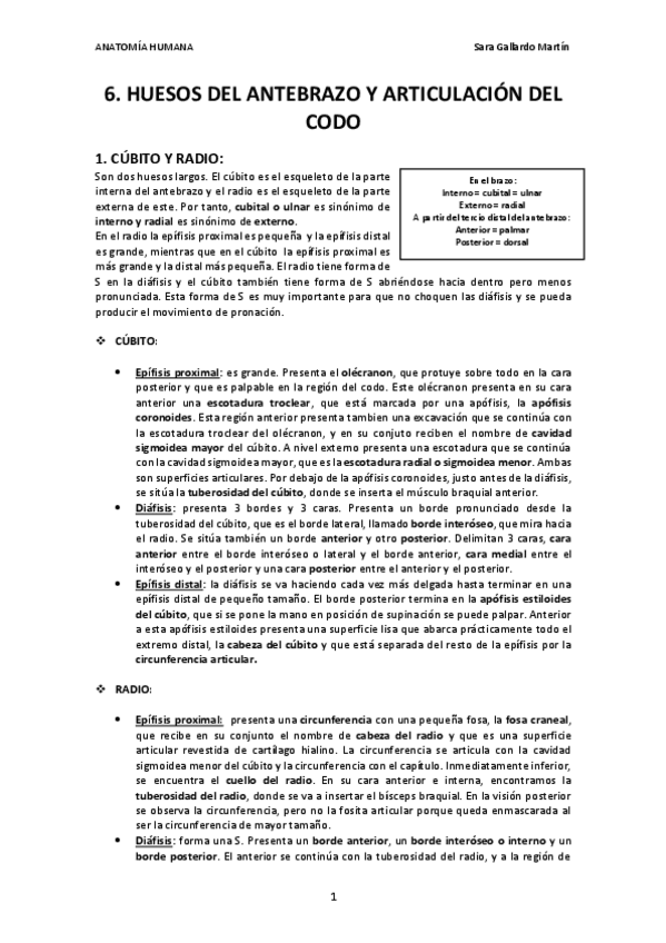 Miniatura del documento 6. CÚBITO Y RADIO. ARTICULACIÓN DEL CODO.pdf