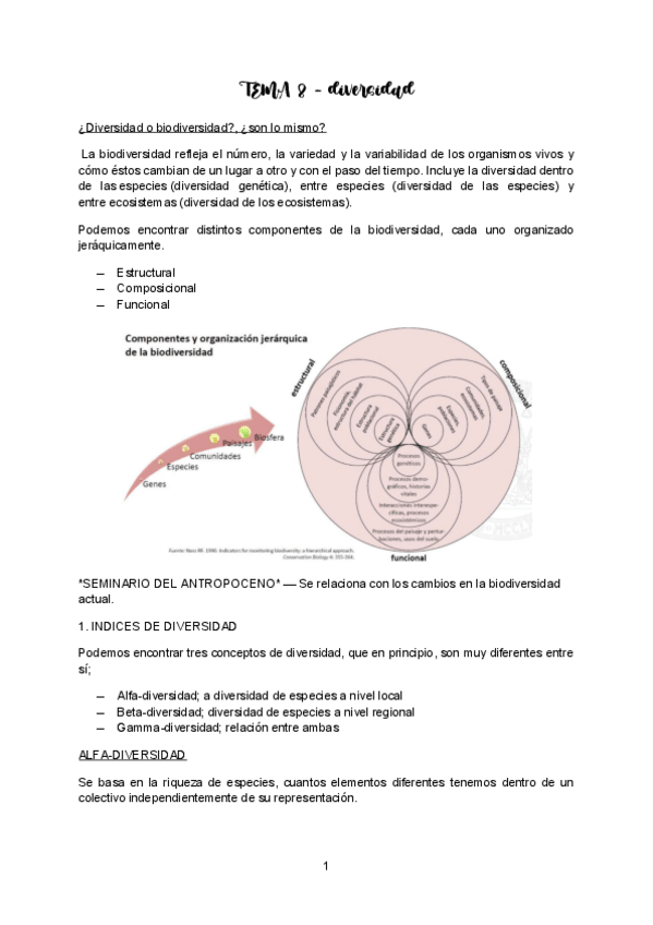 Miniatura del documento TEMA-8-ECOLOGIA-II.pdf