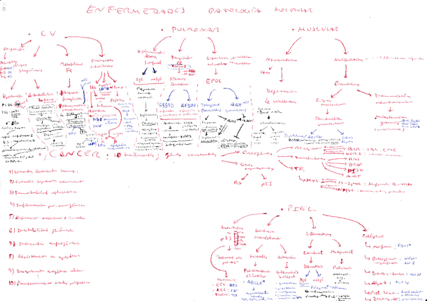 Miniatura del documento Pato-Integracion-PBiotech-21-22.pdf