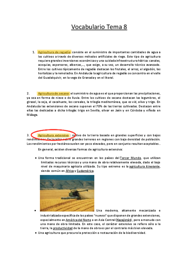 Miniatura del documento vocabulario.pdf