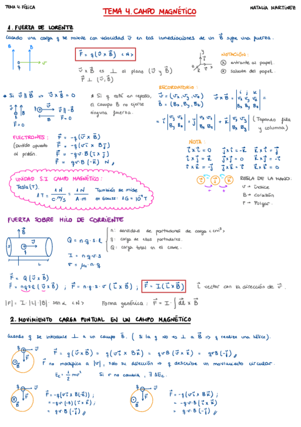 Miniatura del documento TEMA-4.-CAMPO-MAGNETICO.pdf