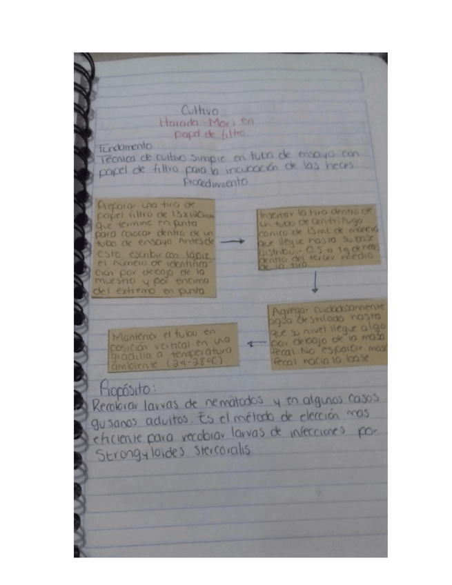 Miniatura del documento Harada-Mori.pdf