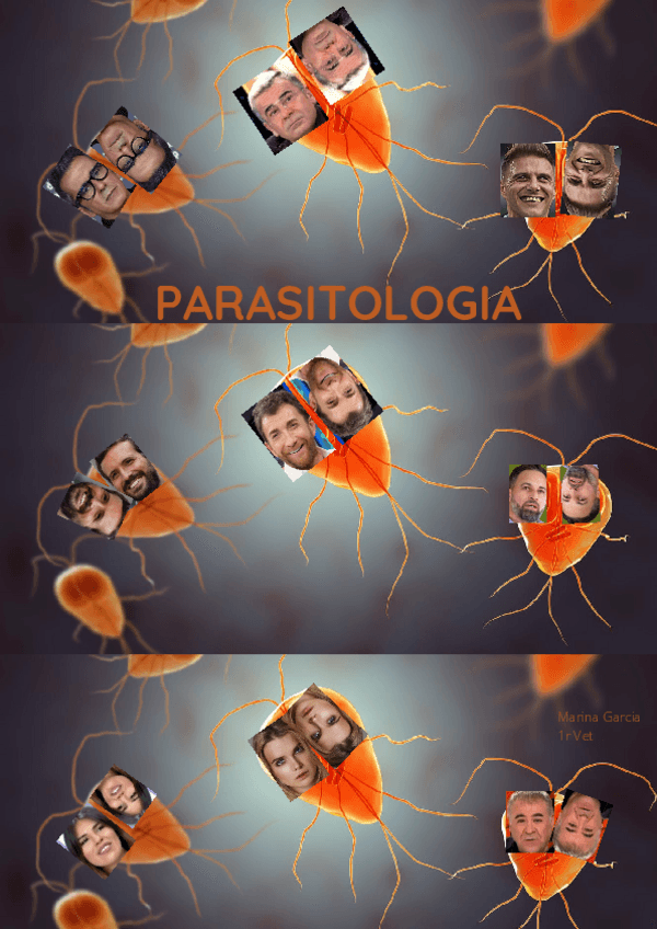 Miniatura del documento PARASITO-FINAL.pdf